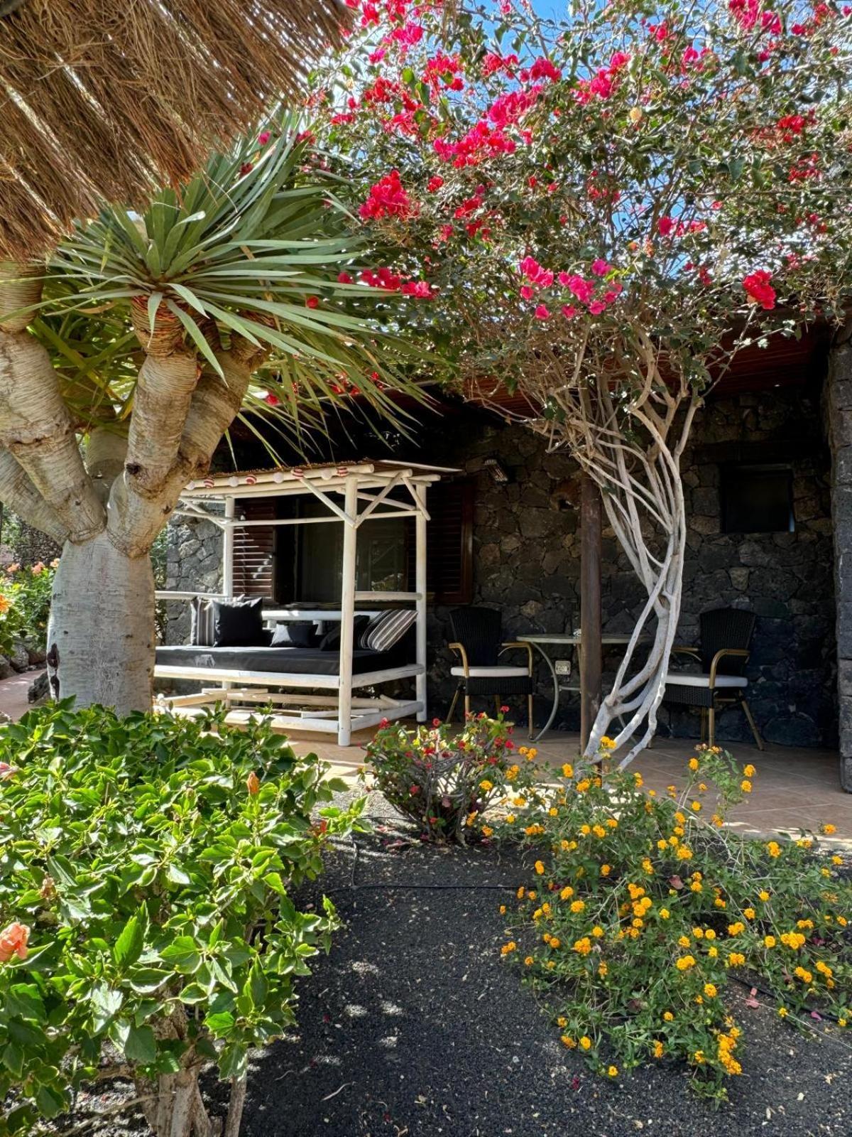 Castillo Lanzarote Villa Bailey - Luxury Villa - Pet Friendly With Heated Pool La Asomada  Exterior photo
